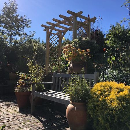 헤이스팅스 Anne'S House B&B 외부 사진
